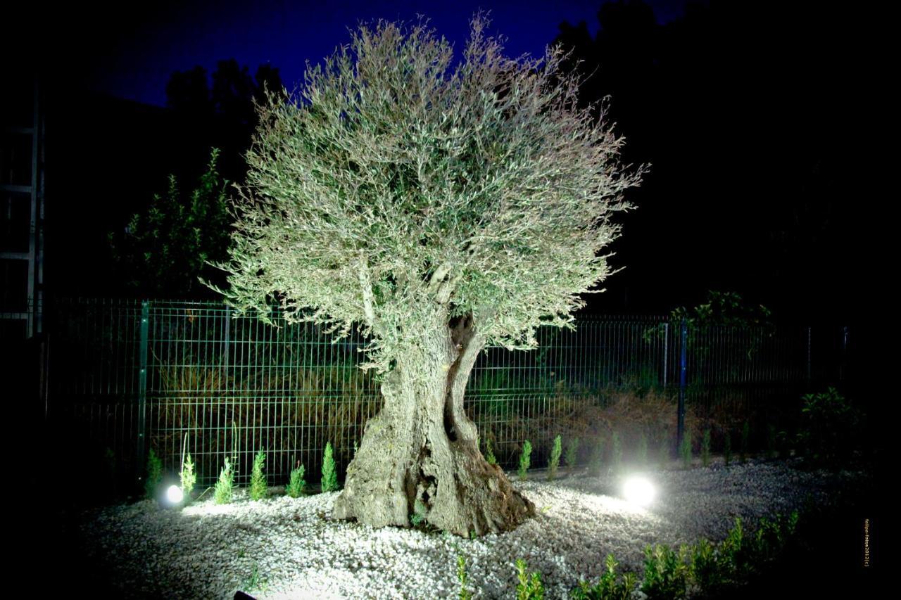 Casas Rurales Los Olivos Alcala del Jucar Dış mekan fotoğraf